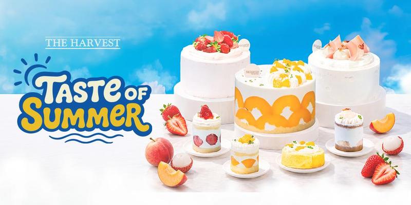 Summer Fiesta